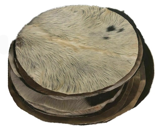 Goat skin head - goat,
