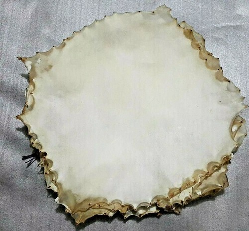 Natural goat skin drum - goat,