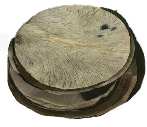 Goat skin hair - skin, drum