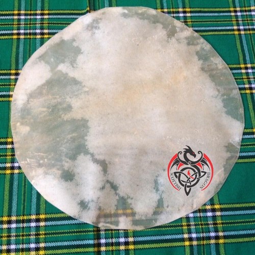 Calf skin drum - calf, head