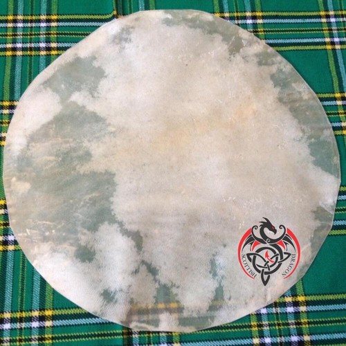 Banjo drum head - calf, skin