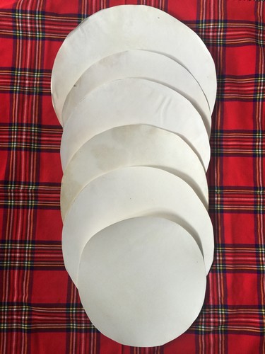 Skin bodhran drum - skin,bodhran,