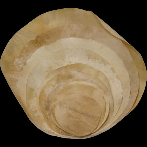 Drum head goat skin banjo - drum,
