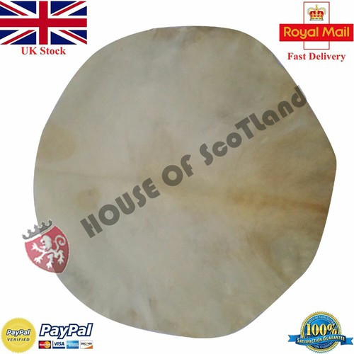 Djembe drum head goat skin - head,