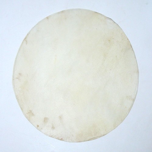 Doumbek goat skin drum head - drum,