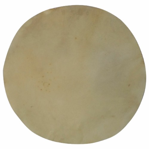 Drum head goat skin - goat, banjo