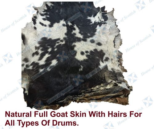 Full animal goat skins with - goat,