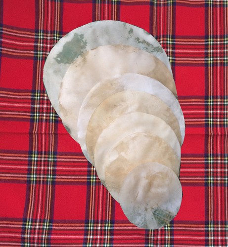 Skin bodhran drum - skin,, skin,