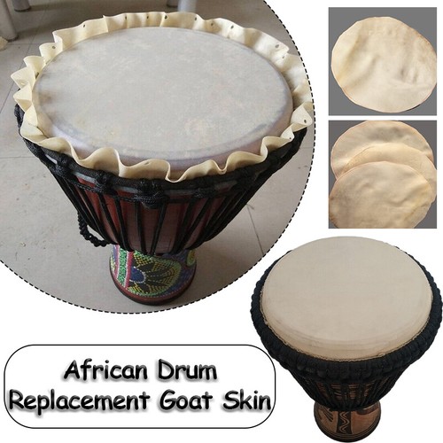 Djembe drum replacement goat - djembe,