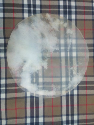 Banjo drum head calf - uk,