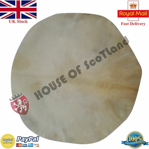 Djembe drum head goat skin - goat,